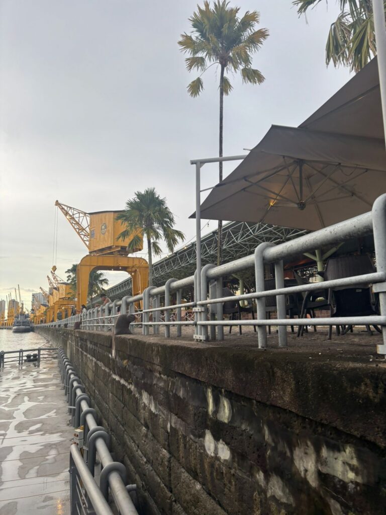 Primeira visita técnica, realizada entre os dias 6 e 8 de abril, estrutura a interlocução com parceiros locais e amplia a capacidade de atendimento do projeto