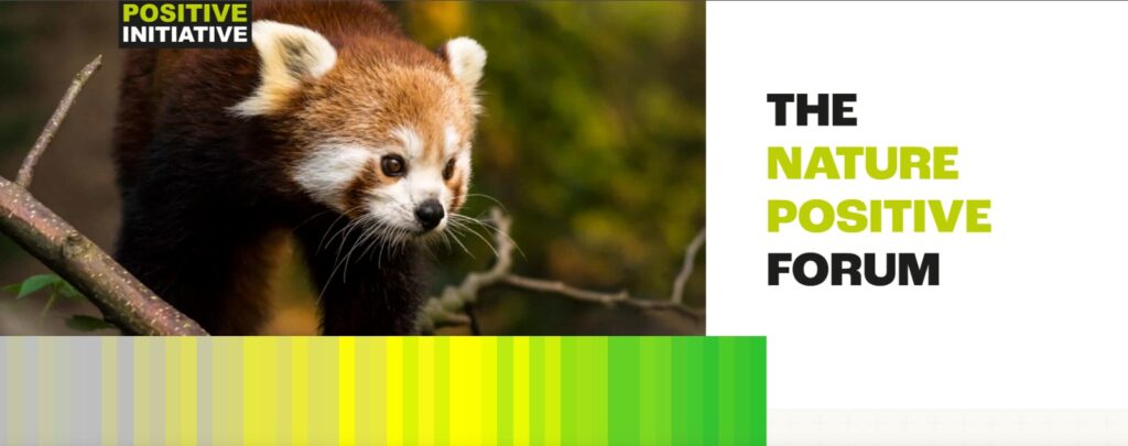 Instituto Aupaba passa a integrar o Nature Positive Forum